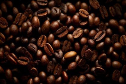 afacerea haute cup din constanta profit de 200 000 de euro la o cifra de afaceri de 600 000 de euro asociatii transfera sediul social in piata grivitei 699701bf1749f