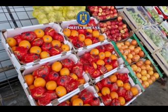 alerta alimentara peste 12 tone de fructe cu pesticide au ajuns la raft 698da83124702