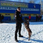 bilantul jandarmilor de la gruparea tomis constanta pe prima jumatate a lui ianuarie sute de misiuni si amenzi de peste 25 000 de lei 6981cad97f661