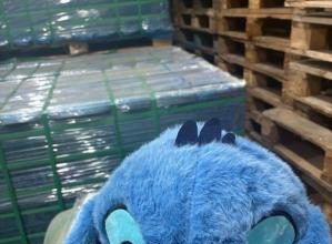 captura in portul constanta jucarii si genti contrafacute descoperite in containere sosite din china 698f18c2eabd4