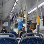 cat mai costa un parbriz de autobuz la ct bus ce prejudiciu a fost stabilit in dosarul individului din navodari care a aruncat cu o piatra 69842025a79df