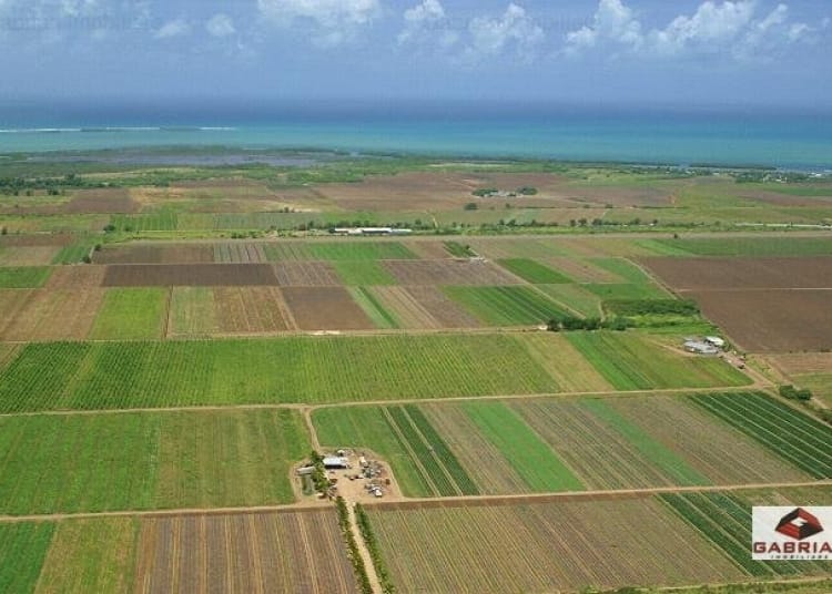 ce taxe se achita pentru scoaterea unui teren din circuitul agricol si includerea in intravilan 698741e43b236