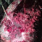 dosarul drogurilor ascunse in butoaiele cu fructe congelate anuntul curtii de apel constanta 6985d49a66cb3