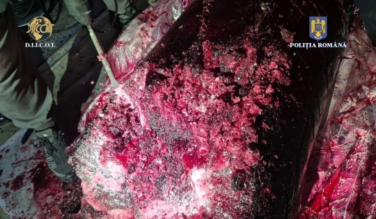 dosarul drogurilor ascunse in butoaiele cu fructe congelate anuntul curtii de apel constanta 6985d49a66cb3