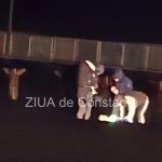 drona gasita pe plaja din zona hotelului victoria din mamaia 698a270bbe652