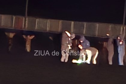 drona gasita pe plaja din zona hotelului victoria din mamaia 698a270bbe652