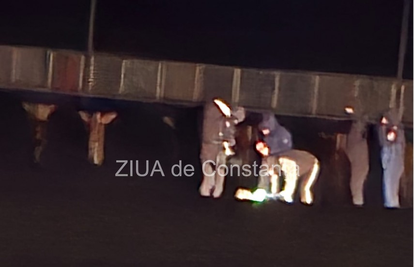 drona gasita pe plaja din zona hotelului victoria din mamaia 698a270bbe652