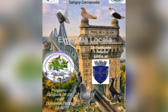 expozitie de pasari si animale mici la cernavoda comunitatea este invitata la a doua editie a evenimentului anghel saligny 69a0011d882d8