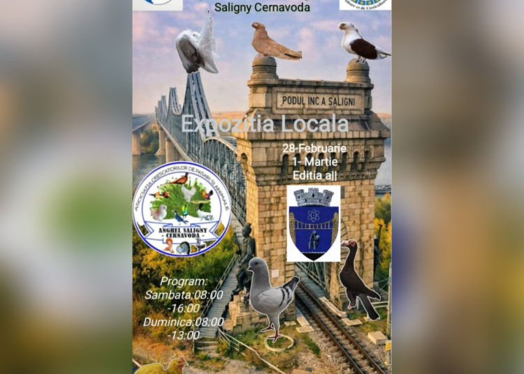 expozitie de pasari si animale mici la cernavoda comunitatea este invitata la a doua editie a evenimentului anghel saligny 69a0011d882d8