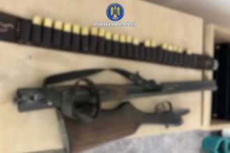 incredibil un tanar din harsova a impuscat un caine si s a urcat beat la volan ce au gasit politistii in masina 698474b496f9b