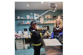 misiune pentru pompierii din tulcea un buhai de balta salvat dupa un apel la 112 6982683fc624f