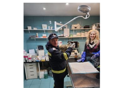 misiune pentru pompierii din tulcea un buhai de balta salvat dupa un apel la 112 6982683fc624f