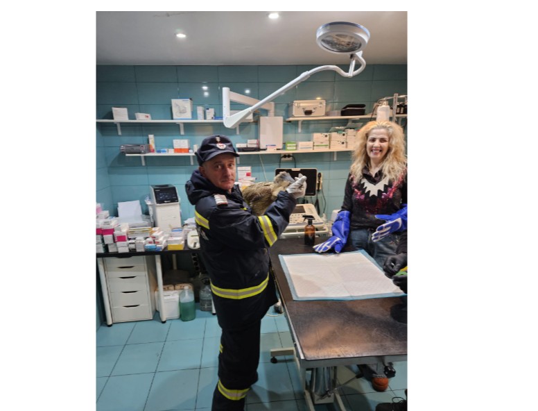 misiune pentru pompierii din tulcea un buhai de balta salvat dupa un apel la 112 6982683fc624f