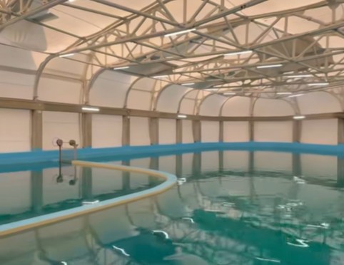 noul bazin de antrenament de la delfinariul constanta finalizat si receptionat presedintele cjc florin mitroi investim in locuri care aduc oamenii impreuna 699df82cae939