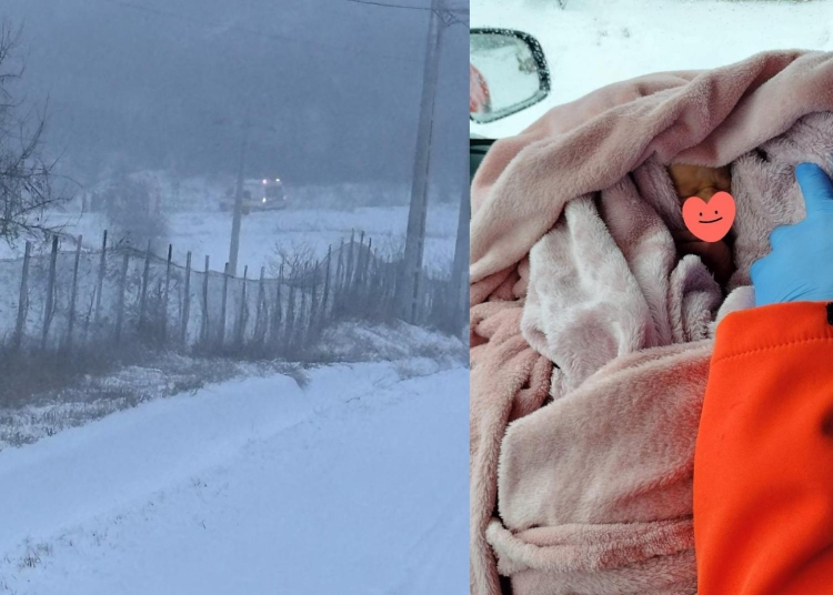 o femeie a nascut acasa dupa ce ambulanta n a mai ajuns din cauza conditiilor meteo