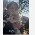 o pisicuta abandonata salvata si pusa la adapost de politistii de la protectia animalelor 6989c8a2667ef