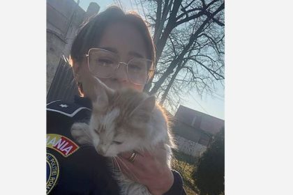 o pisicuta abandonata salvata si pusa la adapost de politistii de la protectia animalelor 6989c8a2667ef