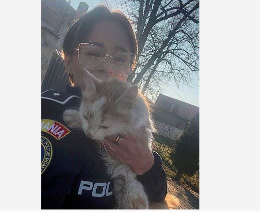 o pisicuta abandonata salvata si pusa la adapost de politistii de la protectia animalelor 6989c8a2667ef