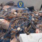 perchezitii in localitatea iazurile judetul tulcea la un barbat suspectat de braconaj piscicol 6991a6b178488