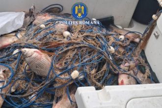 perchezitii in localitatea iazurile judetul tulcea la un barbat suspectat de braconaj piscicol 6991a6b178488