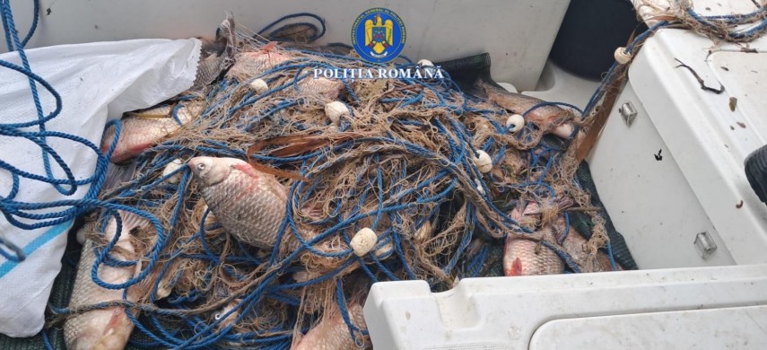 perchezitii in localitatea iazurile judetul tulcea la un barbat suspectat de braconaj piscicol 6991a6b178488