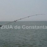 pescarii din zona canalului dunare marea neagra in atentia politistilor amenzi de mii de lei aplicate 698a46c0148d7
