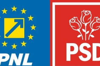 pnl baga batul prin gardul psd inainte de sosirea lui grindeanu la constanta mai multe organizatii in negocieri sa mearga alaturi de mitroi 699f74795a7fc