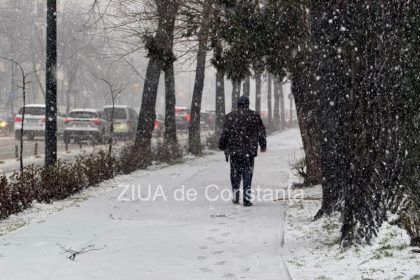 politistii ipj constanta recomanda soferilor prudenta in trafic vizibilitatea redusa si carosabilul alunecos factori majori de risc 69959b23b2a1d