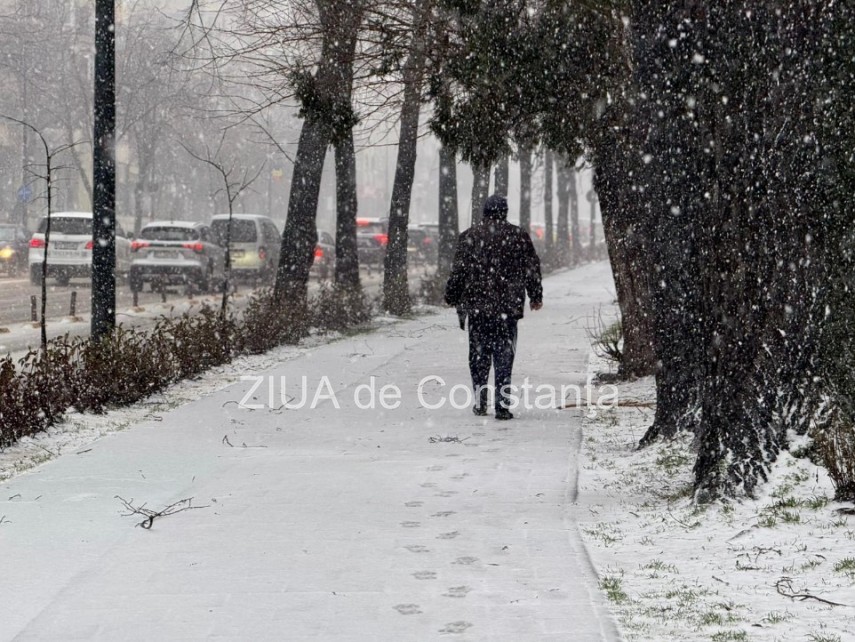 politistii ipj constanta recomanda soferilor prudenta in trafic vizibilitatea redusa si carosabilul alunecos factori majori de risc 69959b23b2a1d