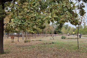 primaria constanta a anulat licitatia pentru reabilitarea sistemului de irigatii din parcul tabacarie 698adda1e1570