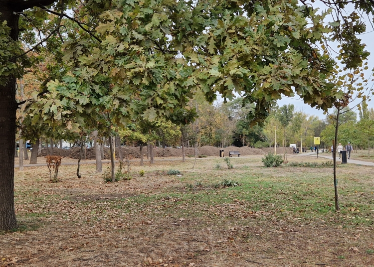 primaria constanta a anulat licitatia pentru reabilitarea sistemului de irigatii din parcul tabacarie 698adda1e1570