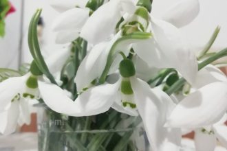 prognoza pentru 4 saptamani meteorologii anunta vreme mai calda decat de obicei dupa valul de frig 6998181387624