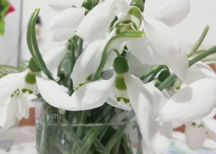 prognoza pentru 4 saptamani meteorologii anunta vreme mai calda decat de obicei dupa valul de frig 6998181387624