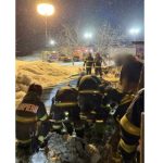 saivan prabusit peste 400 de animale zeci de oi si capre au murit 699aad0300200