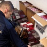 tigari de contrabanda descoperite de politistii de frontiera la bordul unei nave in portul constanta 6989d731192d0