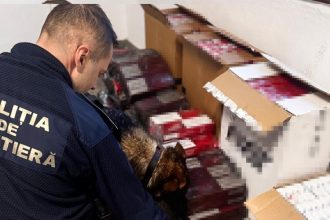 tigari de contrabanda descoperite de politistii de frontiera la bordul unei nave in portul constanta 6989d731192d0