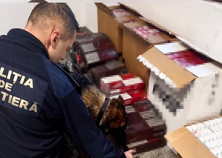 tigari de contrabanda descoperite de politistii de frontiera la bordul unei nave in portul constanta 6989d731192d0