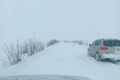 trei microbuze de calatori blocate pe dn2a in judetul constanta la iesire din saraiu catre topolog 6995bac70f863