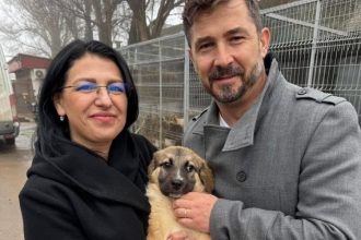 uneori fericirea incepe cu un gest mic un catel timid de la adapostul de animale abandonate a ajuns acasa la sefa serviciului sanatate si bunastare animala din cadrul dsvsa 69964f755b3e8