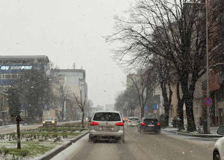 vine viscolul in dobrogea meteorologii anunta vant puternic ploi si ninsori 6998c7a3e0b0c