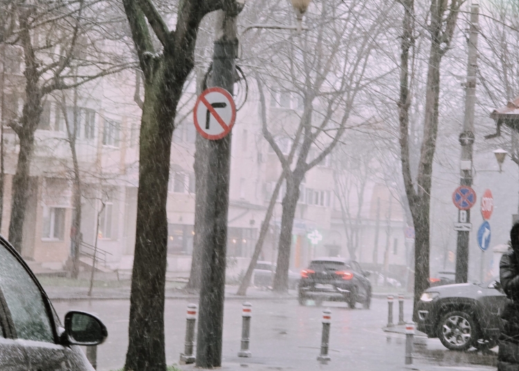 vremea se schimba brusc cu temperaturi mult peste normalul perioadei apoi revin ninsorile si viscolul 69902f0f07f36
