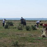 30 martie ziua internationala zero deseuri marcata si in acest an 69ca7702e4940