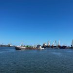 alerta de gripa aviara in portul constanta 69c3cafd098fd