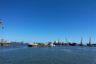 alerta de gripa aviara in portul constanta 69c3cafd098fd