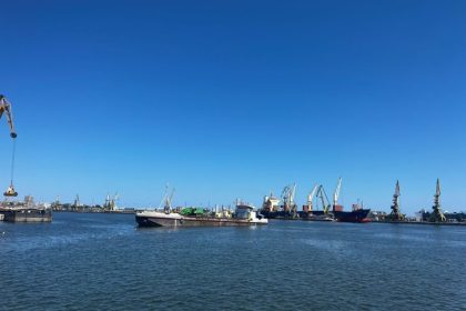 alerta de gripa aviara in portul constanta 69c3cafd098fd