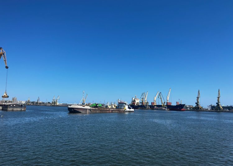 alerta de gripa aviara in portul constanta 69c3cafd098fd