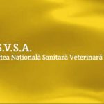 ansvsa consolideaza siguranta alimentara din romania prin iispv 69a81ab11af42