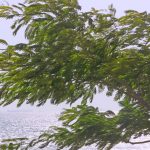 atentionare de vant puternic in judetul constanta 69c4f277ed056