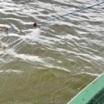 braconaj in vizorul politiei sanctiuni aplicate pe dunare la cernavoda 69bff26827648