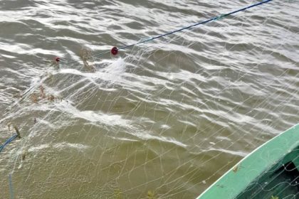 braconaj in vizorul politiei sanctiuni aplicate pe dunare la cernavoda 69bff26827648